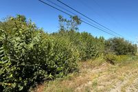 Undeveloped Land for sale in Penobscot County, Maine