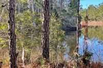 Homesite for sale in Brantley County, Georgia