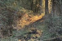 Land for sale in Cowlitz County, Washington