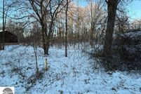 Undeveloped Land for sale in Gratiot County, Michigan