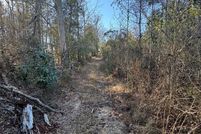 Undeveloped Land for sale in Pike County, Alabama