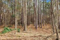 Land for sale in Camp County, Texas