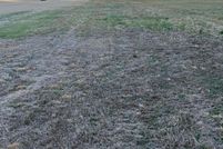 Land for sale in Chester County, Tennessee