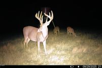 Land for sale in Hinds County, Mississippi