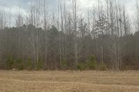 Land for sale in Williamsburg County, South Carolina