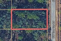 Undeveloped Land for sale in Marion County, Florida