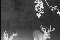 Land for sale in Barbour County, Alabama