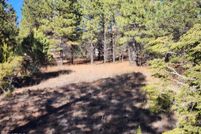 Timberland Property for sale in Navajo County, Arizona
