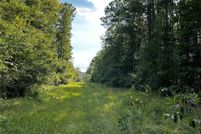 Land for sale in Stone County, Mississippi