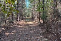 Undeveloped Land for sale in Jasper County, Mississippi