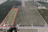 Land for sale in Tulare County, California