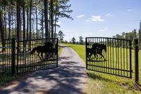 Land for sale in Talbot County, Georgia