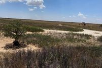 Land for sale in Cochran County, Texas