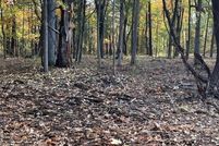 Land for sale in Greene County, New York