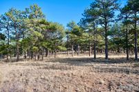 Land for sale in Larimer County, Colorado