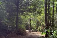 Land for sale in Campbell County, Tennessee