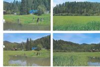 Farm and Ranch for sale in Benewah County, Idaho