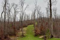 Land for sale in Decatur County, Tennessee