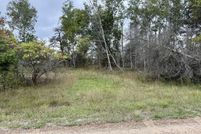 Land for sale in Manistee County, Michigan