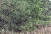 Land for sale in Sumter County, South Carolina