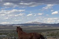 Land for sale in San Bernardino County, California