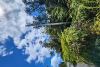 Land for sale in Hawaii County, Hawaii