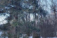 Land for sale in Lebanon County, Pennsylvania