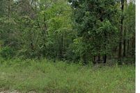 Land for sale in Levy County, Florida