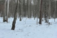 Homesite for sale in Sullivan County, New York