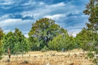 Land for sale in Yavapai County, Arizona