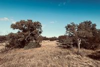 Undeveloped Land for sale in Schleicher County, Texas