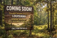 Homesite for sale in Livingston Parish, Louisiana