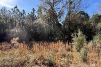 Land for sale in Baldwin County, Alabama