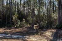 Undeveloped Land for sale in Brantley County, Georgia