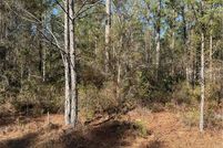 Land for sale in Brantley County, Georgia