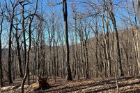 Undeveloped Land for sale in Pickens County, Georgia