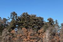 Undeveloped Land for sale in Bayfield County, Wisconsin