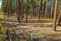 Land for sale in Apache County, Arizona
