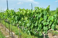 Land for sale in Blanco County, Texas