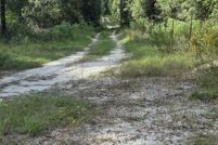Land for sale in Gilchrist County, Florida