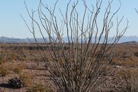 Land for sale in Presidio County, Texas