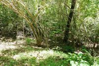 Land for sale in Winston County, Alabama