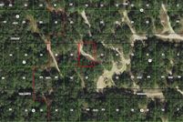 Undeveloped Land for sale in Citrus County, Florida