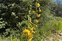 Land for sale in Clay County, Florida