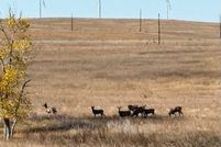 Land for sale in Elbert County, Colorado