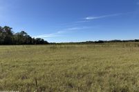 Undeveloped Land for sale in Alachua County, Florida