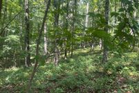 Recreational Property for sale in Cherokee County, Georgia