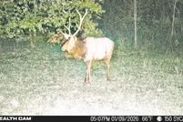 Farm and Ranch for sale in Johnson County, Kentucky