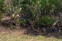 Land for sale in Lake County, Florida