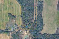 Undeveloped Land for sale in Holmes County, Florida
